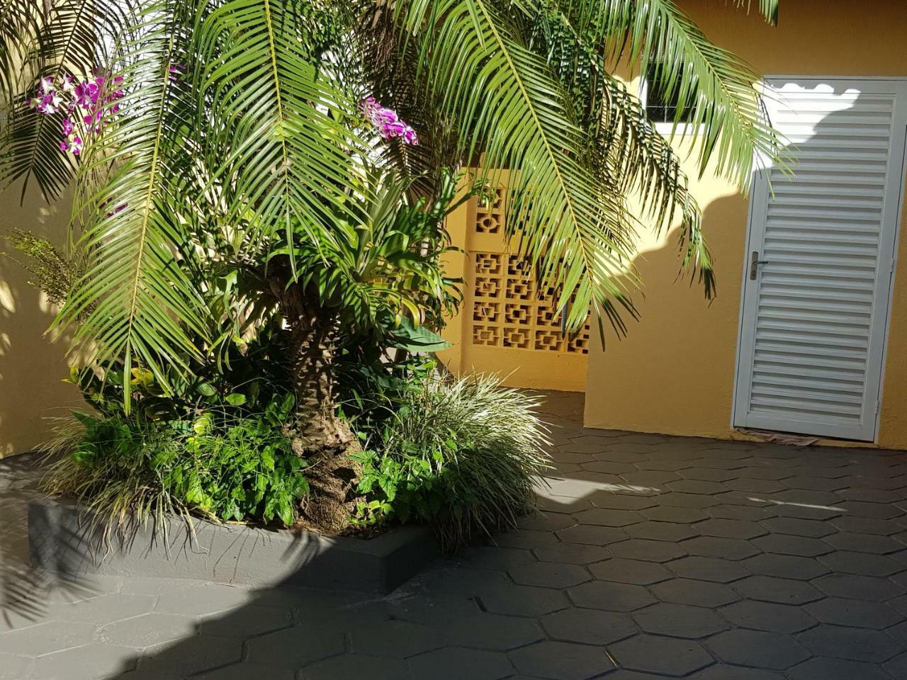 Cantinho Sao Joao Olimpia Bagian luar foto